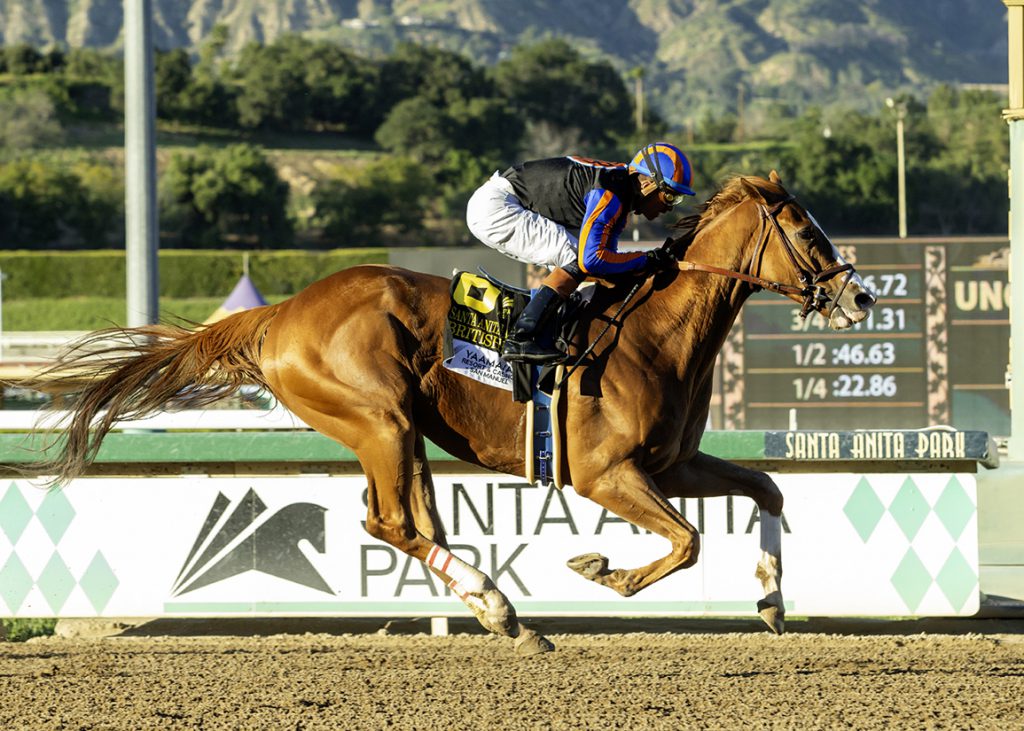 British Isles at Santa Anita