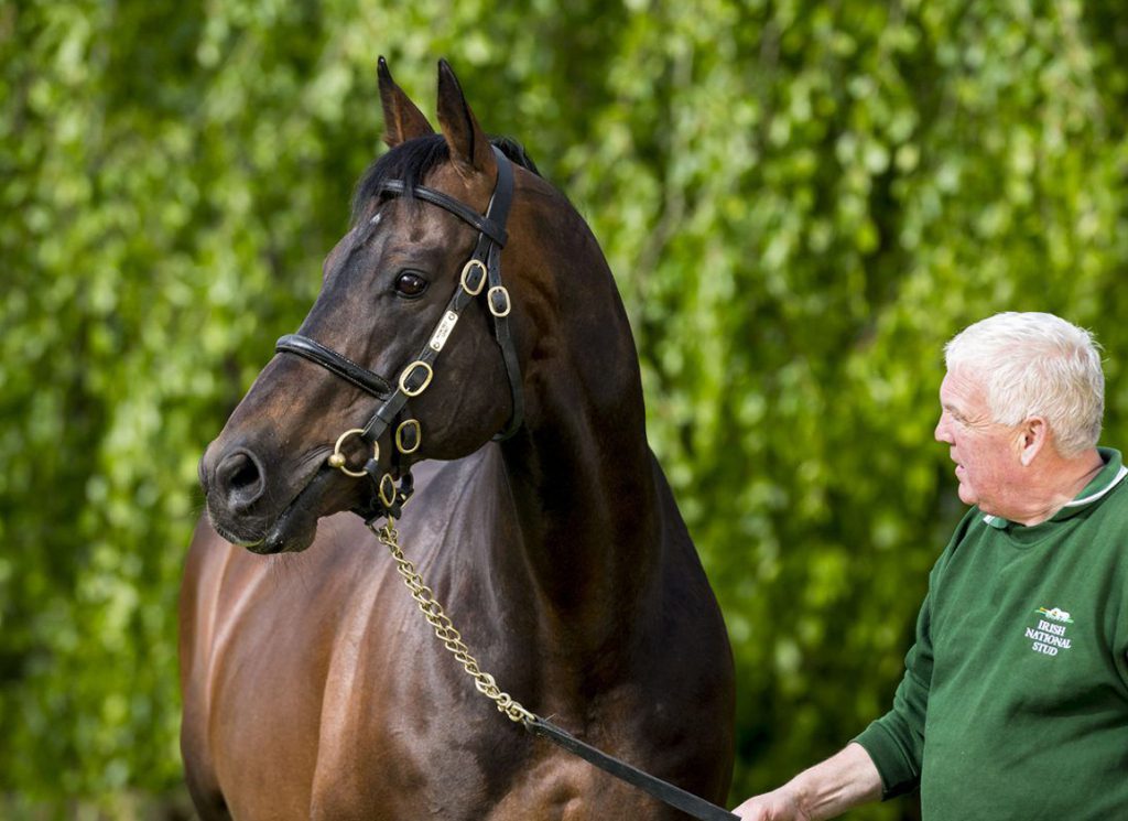 Invincible Spirit and Michael "Daffer"Kelly