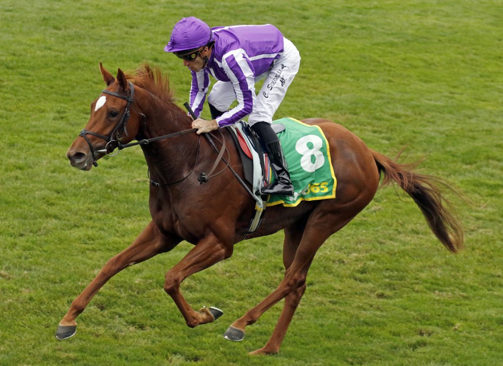 Ballydoyle's Precise