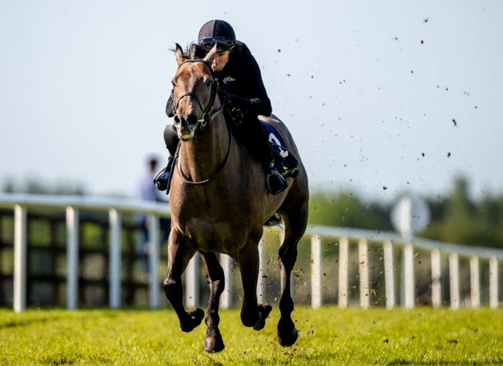 A Tattersalls Ireland breezer