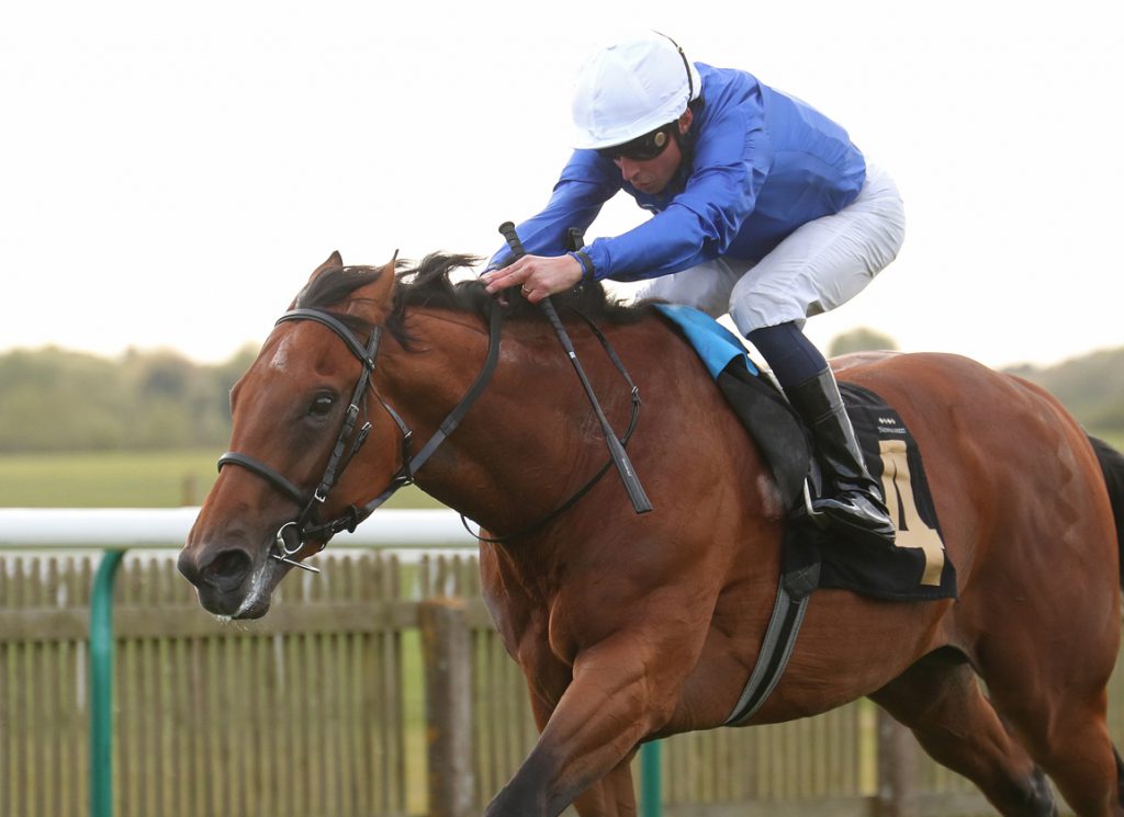 Godolphin's colt Maho Bay wins at Newmarket