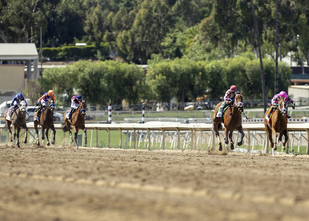 Meaning at Santa Anita