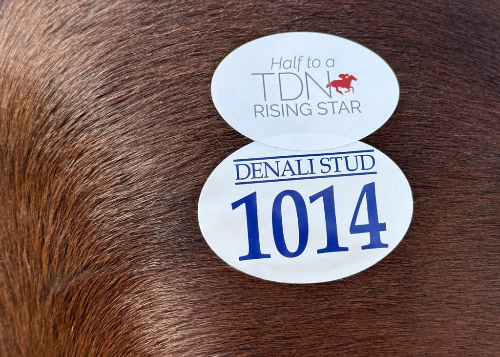 Rising Star sticker at Keeneland