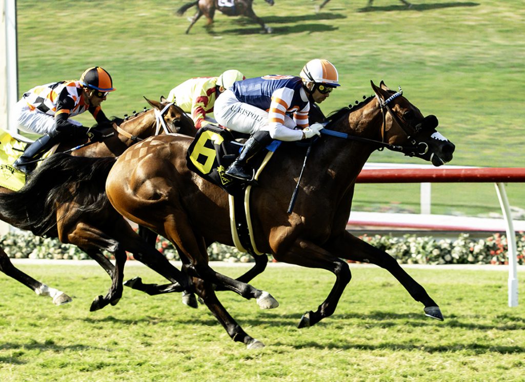 The Padre at Del Mar