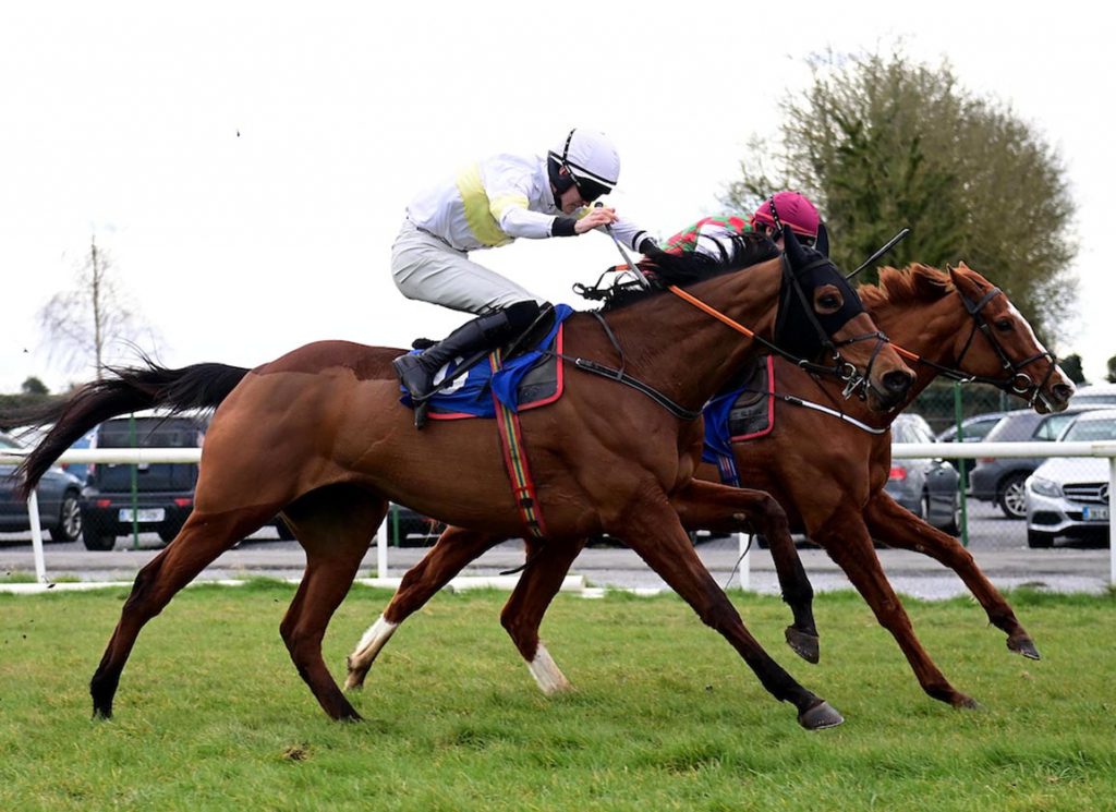 Horses compete at Thurles