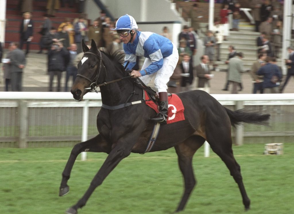 Tony Ives