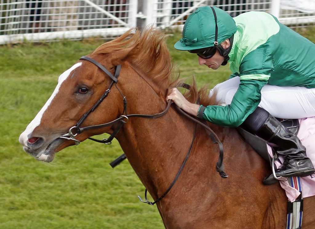 Ballydoyle's Benvenuto Cellini in action at Chester