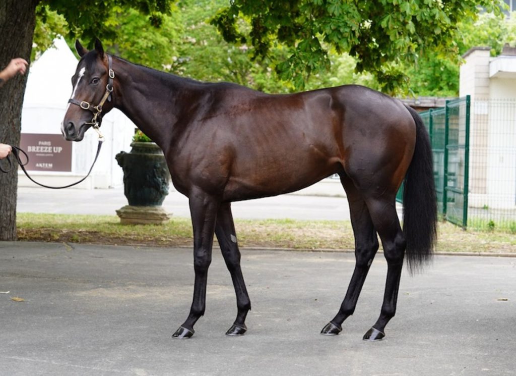 Lot 17B