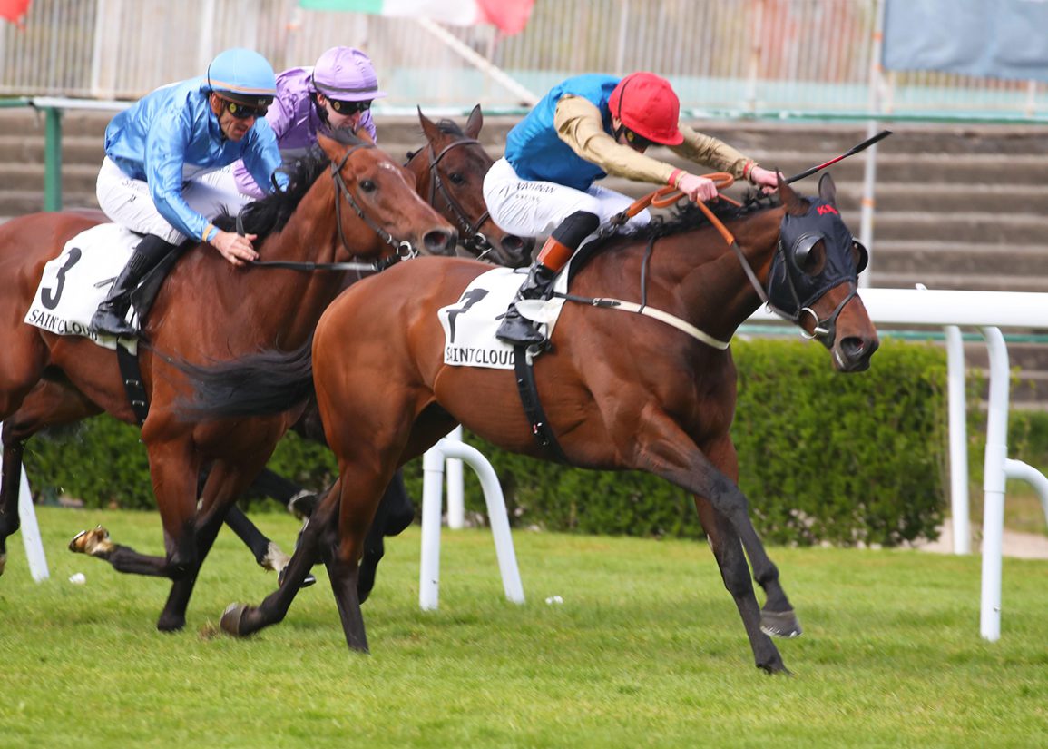 Black-Type Analysis: Native Warrior The One To Beat In Ballycorus