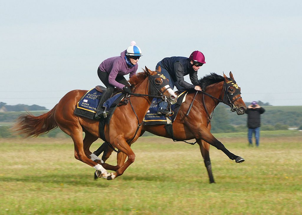 Ruiva and Shining Moment