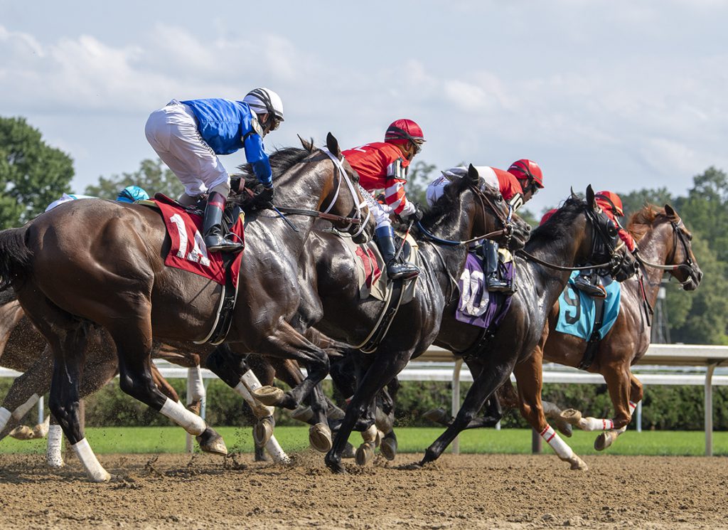 Racehorses at Saratoga