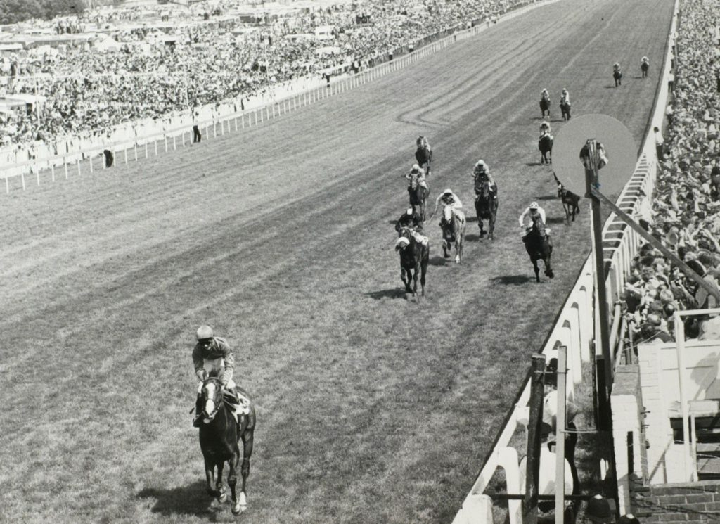 Shergar
