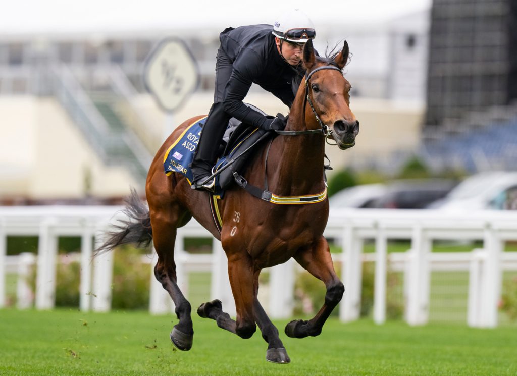 The Australian sprinter Joliestar
